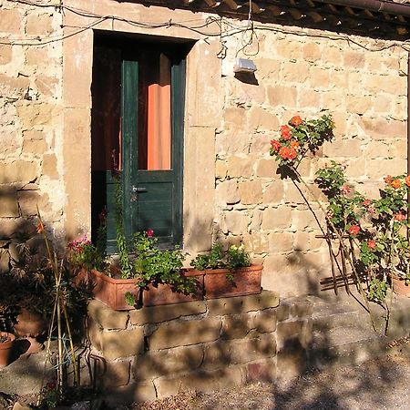 Casa Migliaca Villa Pettineo Rum bild